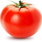 PikPng.com_tomato-plant-png_692895