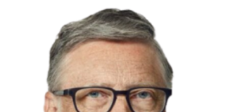 bill-gates-avere